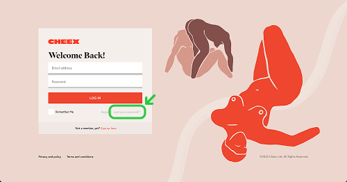 Issue accessing my account