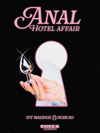 https://getcheex.com/anal-hotel-affair/